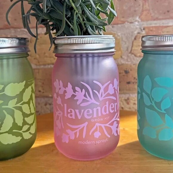 Modern Sprout 'Lavender' Pink Pint Mason Jar Grow Kit - Picture 3 of 5
